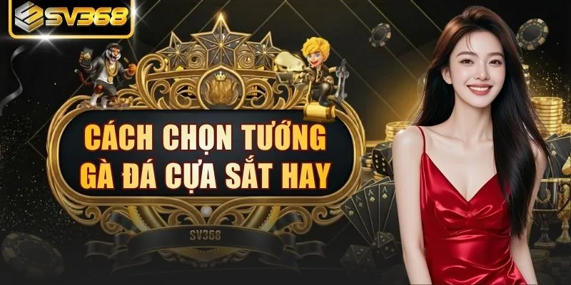 Cách Chọn Tướng Gà Đá Cựa Sắt Hay Hạ Gục 99% Đối Thủ