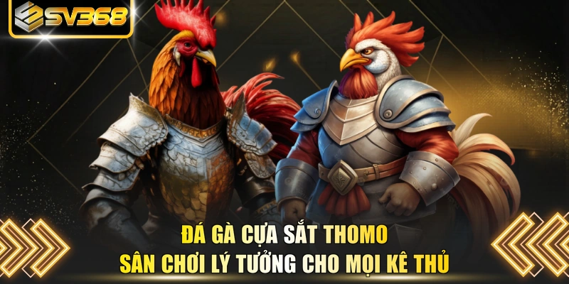 Đá gà cựa sắt Thomo sân chơi lý tưởng cho mọi kê thủ