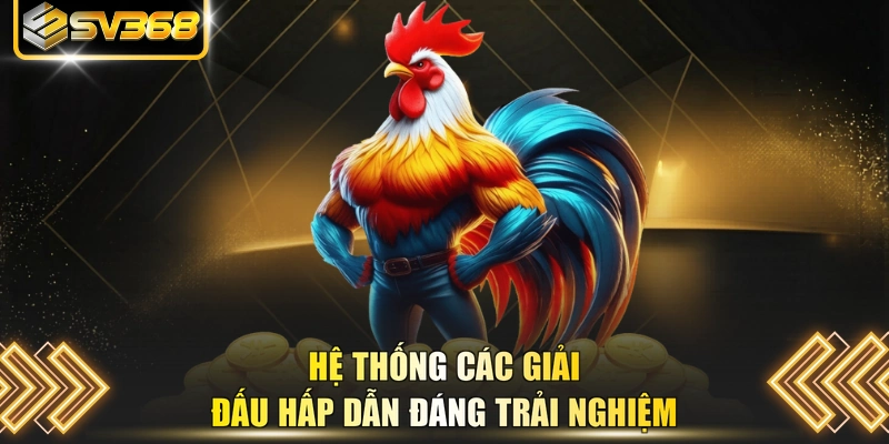 Hệ thống các giải đấu hấp dẫn đáng trải nghiệm