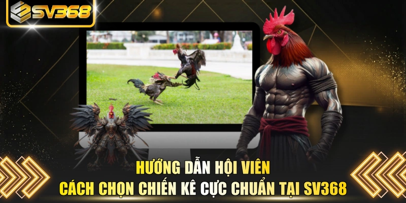 Hướng dẫn hội viên cách chọn chiến kê cực chuẩn tại SV368