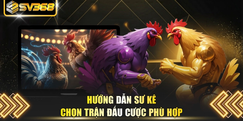 Hướng dẫn sư kê chọn trận đấu cược phù hợp