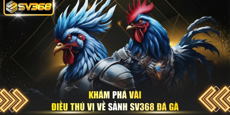 Khám phá vài điều thú vị về sảnh SV368 đá gà