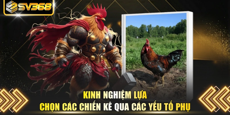Kinh nghiệm lựa chọn các chiến kê qua các yếu tố phụ
