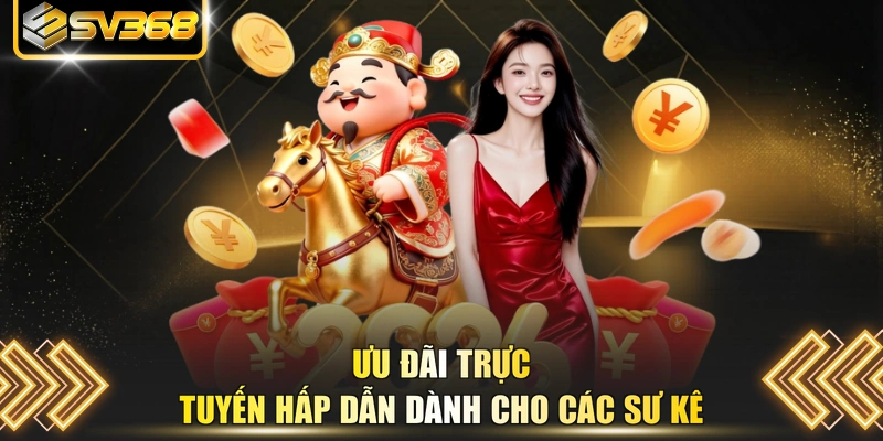 Ưu đãi trực tuyến hấp dẫn dành cho các sư kê