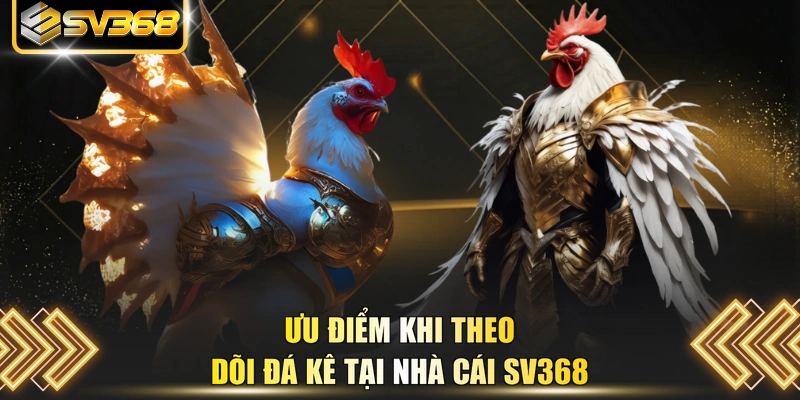Ưu điểm khi theo dõi đá kê tại nhà cái SV368